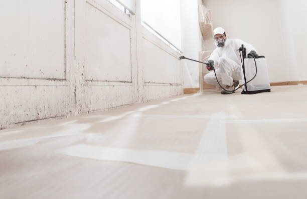 24/7 Emergency Attic Mold Removal experts in Parksley, VA